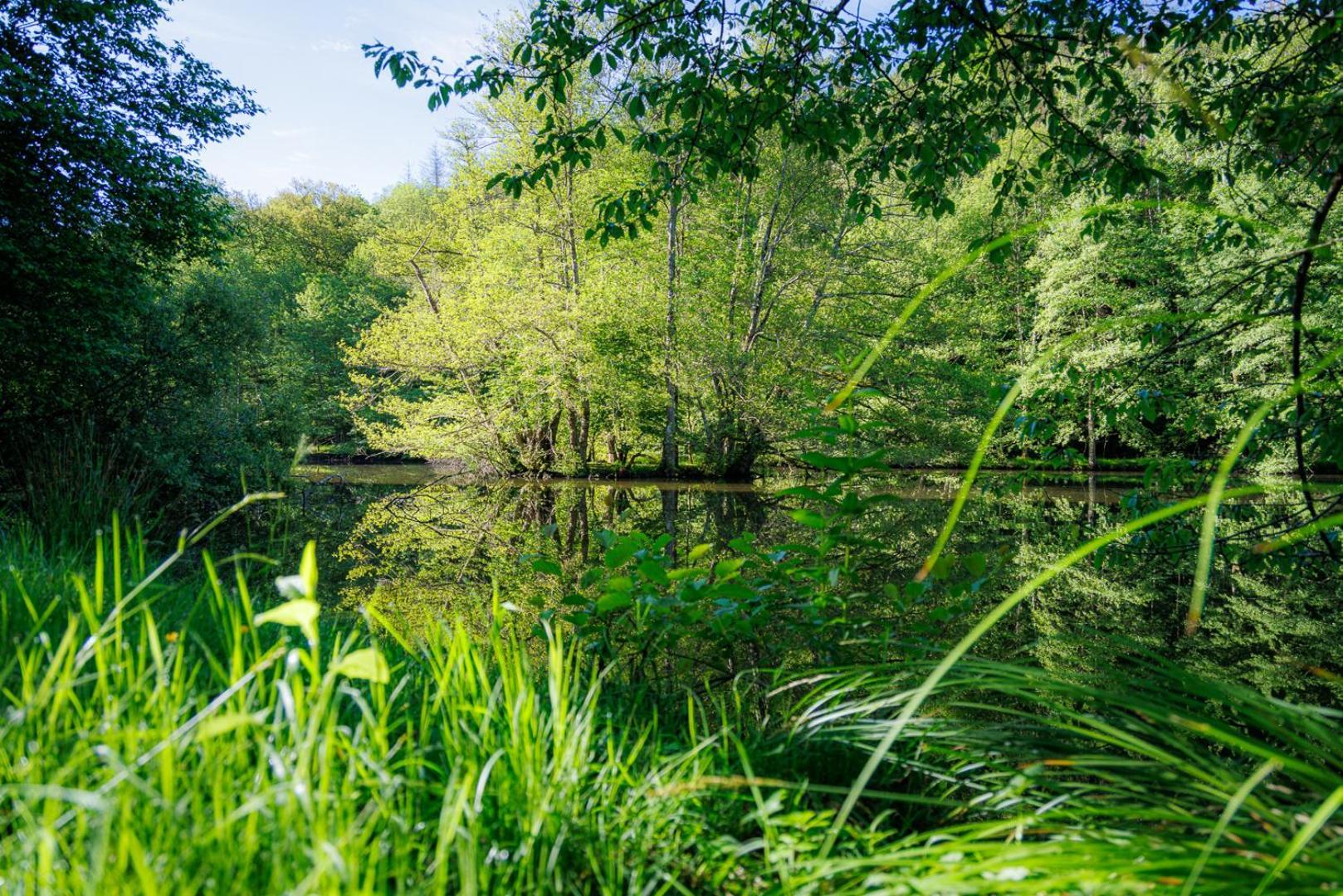 Moulin De Retord, Cote Etang - Chambres D'Hotes Perassay ภายนอก รูปภาพ