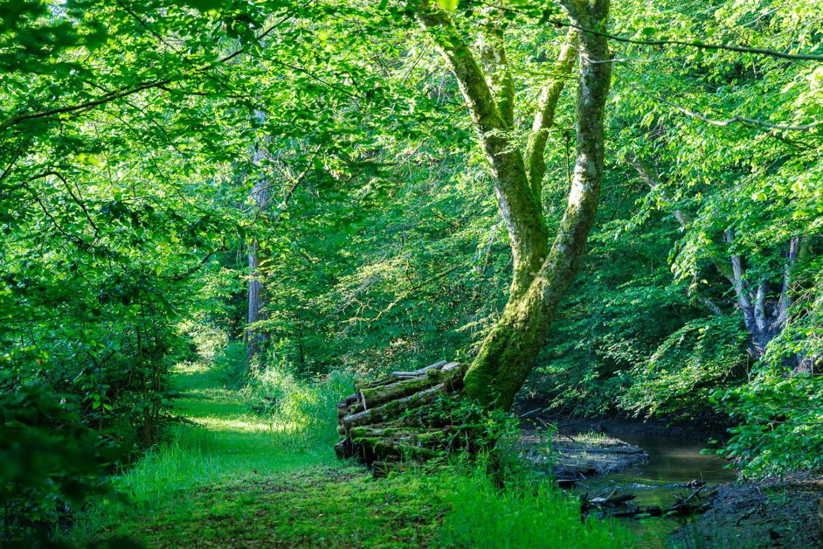 Moulin De Retord, Cote Etang - Chambres D'Hotes Perassay ภายนอก รูปภาพ