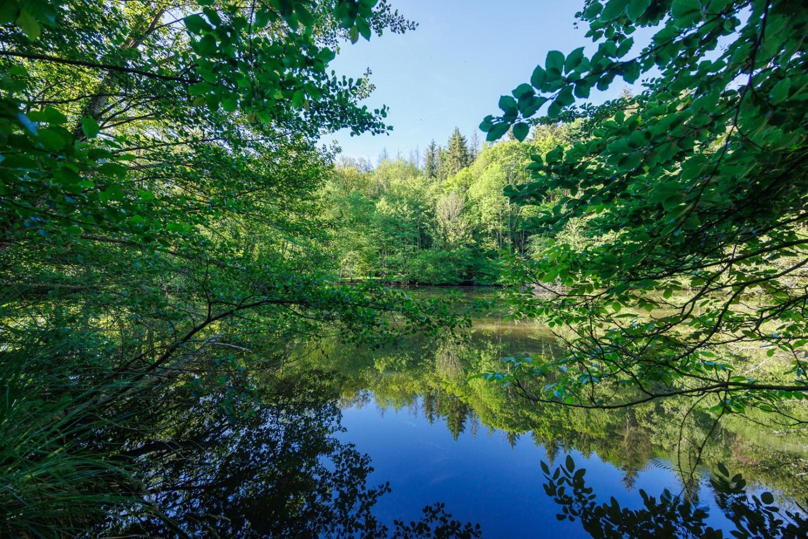 Moulin De Retord, Cote Etang - Chambres D'Hotes Perassay ภายนอก รูปภาพ