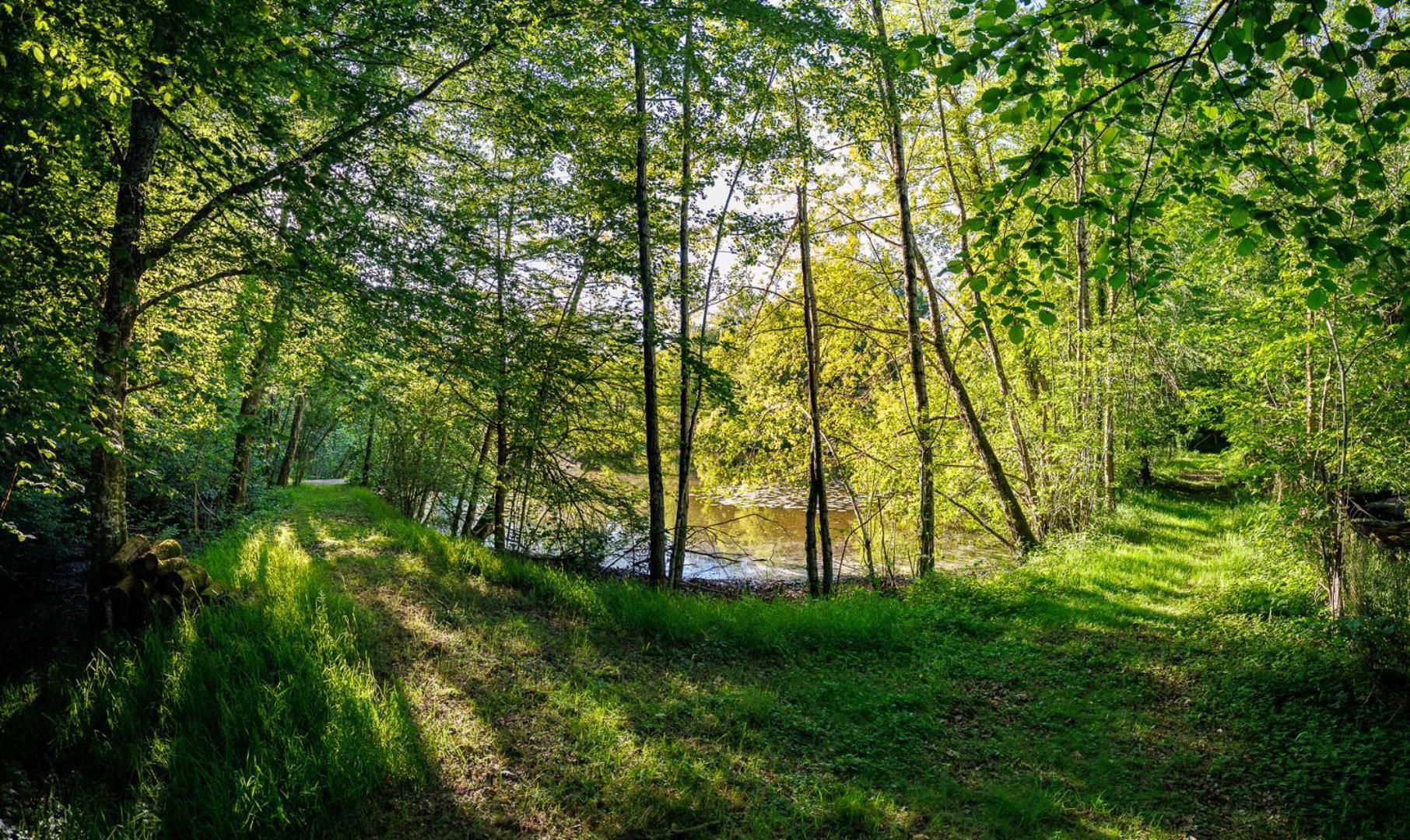 Moulin De Retord, Cote Etang - Chambres D'Hotes Perassay ภายนอก รูปภาพ