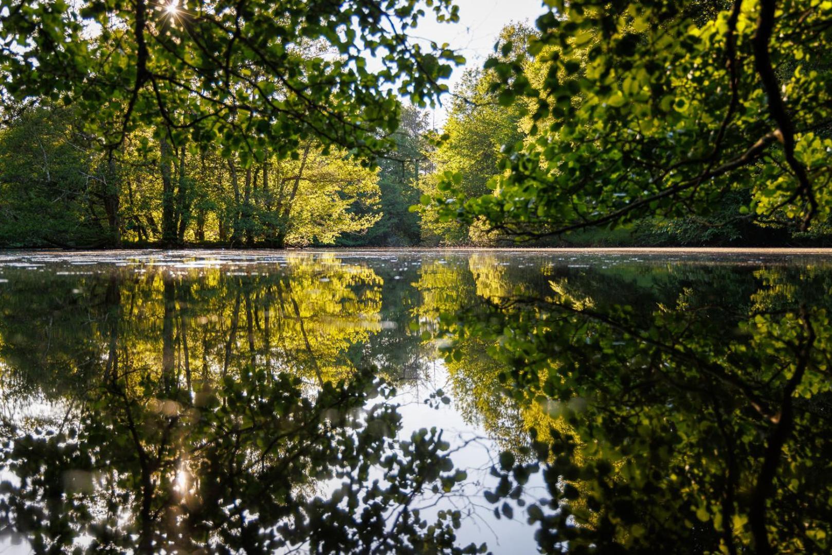 Moulin De Retord, Cote Etang - Chambres D'Hotes Perassay ภายนอก รูปภาพ